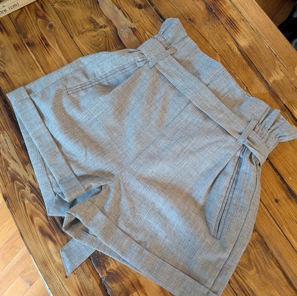 Streetwear Society Gray Paperbag Waist Shorts - Picture 2 of 4